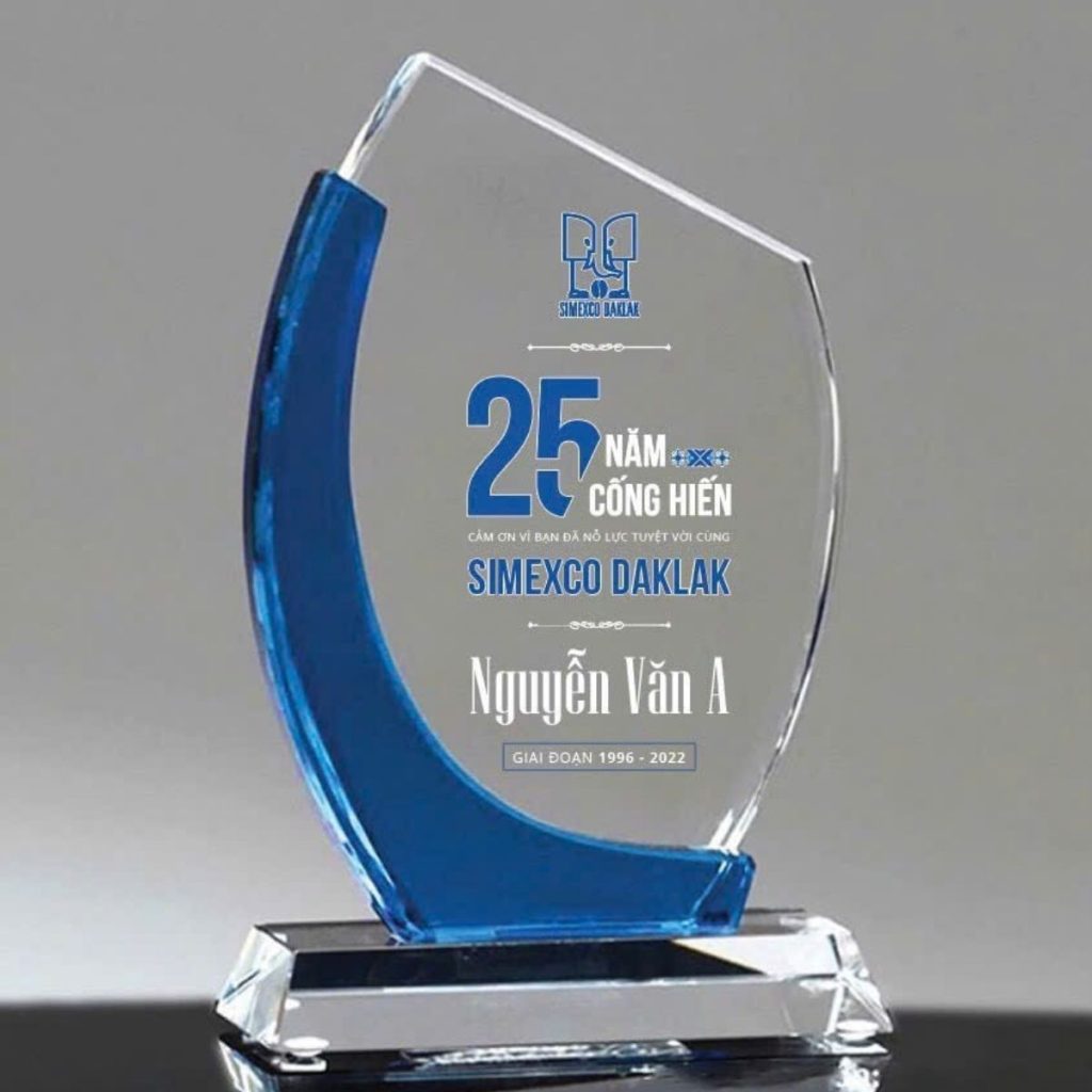 kỷ niệm chương in logo