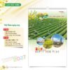 Lịch Treo Tường 2027 HT Mẫu HT39 (40 x 60cm) Bộ Quà Tặng Doanh Nghiệp Thủy Tinh & Lịch in logo doanh nghiệp quà tặng Tết tại Quà Tặng Thủy Tinh VN