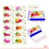 Lịch Để Bàn 2027 MT Mẫu MT49 (24 x 17cm) Bộ Quà Tặng Doanh Nghiệp Thủy Tinh & Lịch in logo doanh nghiệp quà tặng Tết tại Quà Tặng Thủy Tinh VN